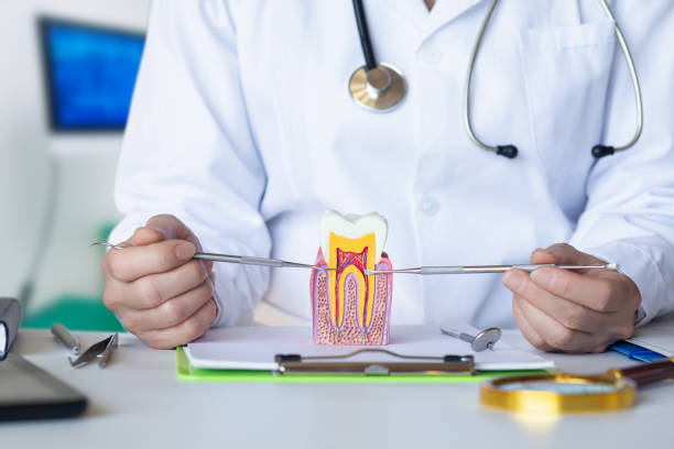 Best Emergency TMJ Treatment in Unalaska, AK